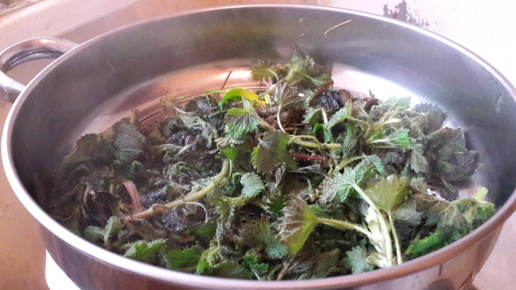 wild plant salad in Turkey prepared by the author during the pandemic