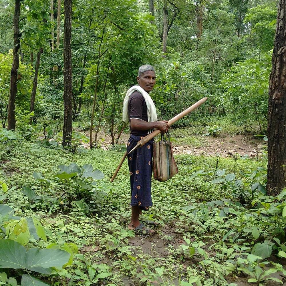A Baiga man from Achanakmar Tiger Reserve