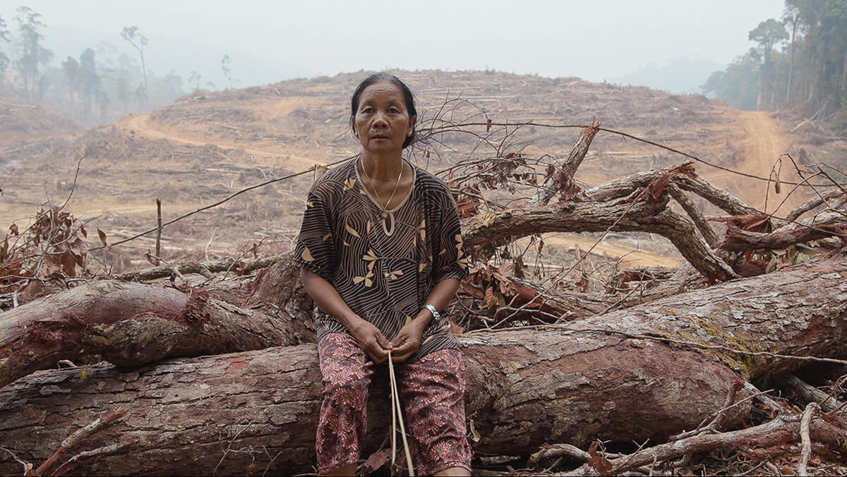 Rani in the Kinipan forest where the deforestation took place