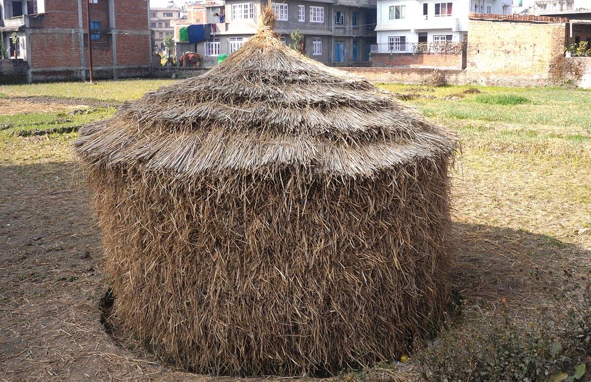 Dried straw is piled up to form a mound.